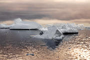 Isbjerge ved Antarktis i morgenlys.