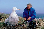 David Attenborough og ung vandrealbatros på Sydgeorgien