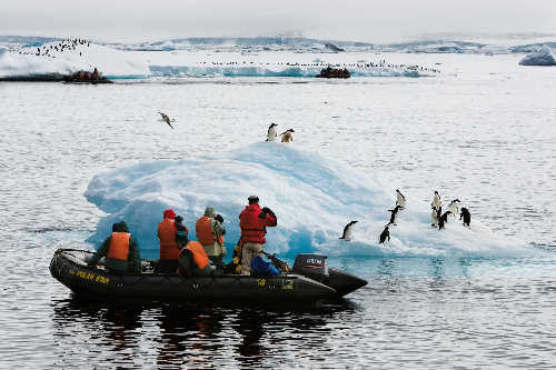 Isbjerg og pingviner fra gummibåd.