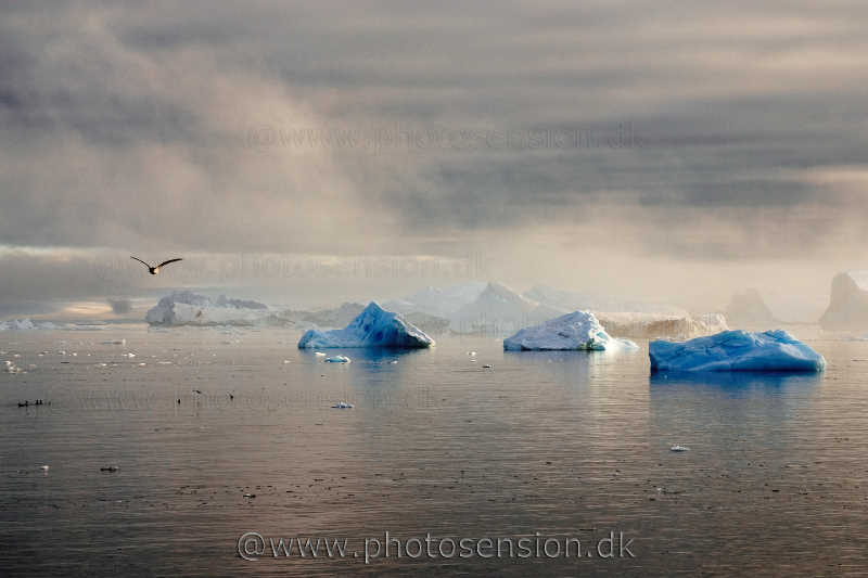 Isbjerge i morgentågen