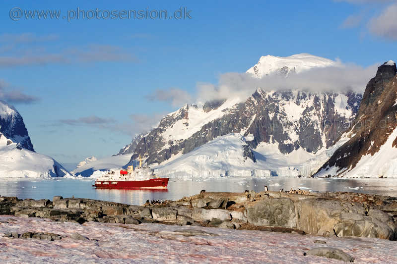 Polar Star at anchor off Petermann Island