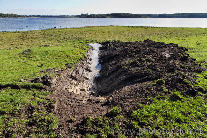 Mere landbrugs-spildevand ud i fjorden