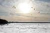 Kitesurfere på isen ved Munkholmbroen